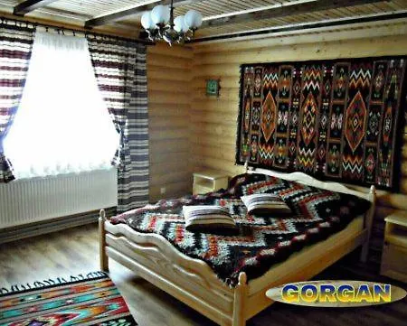 Gorgan Jaktstuga Mykulytjyn